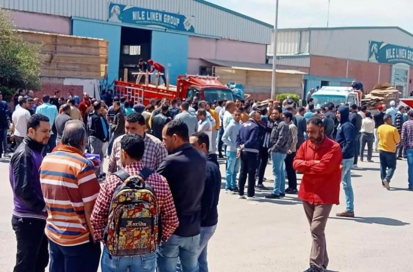  لليوم الثاني.. عمال شركة نايل لينين يواصلون الإضراب عن العمل