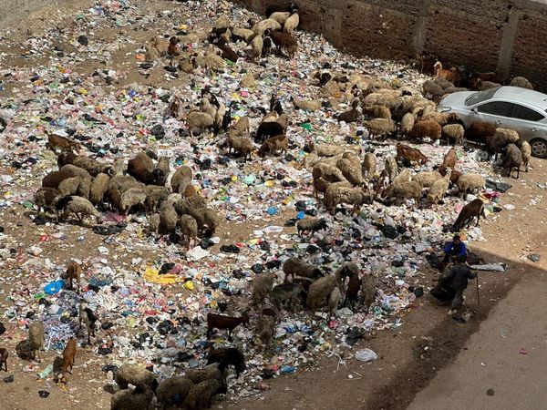  شكوى من تراكم القمامة بقطعة أرض فضاء في الزقازيق