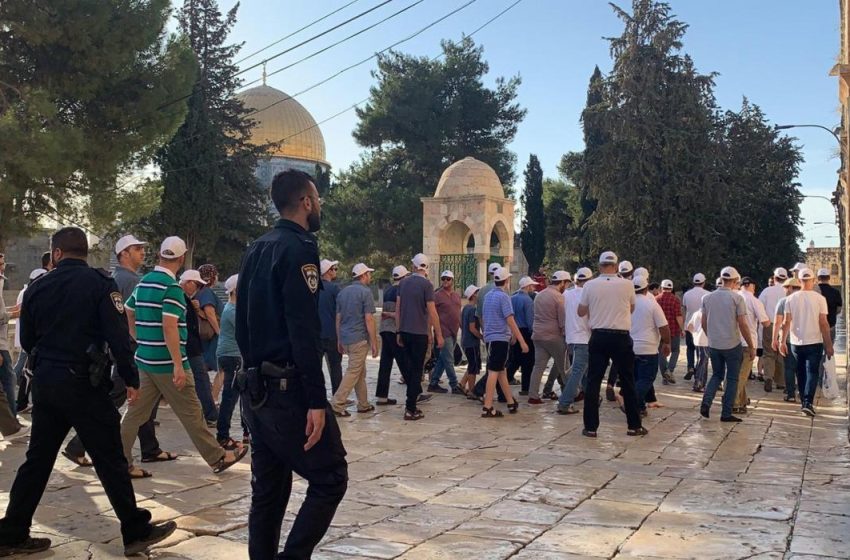  كمال الخطيب يحذر من تكثيف عمليات اقتحام الأقصى