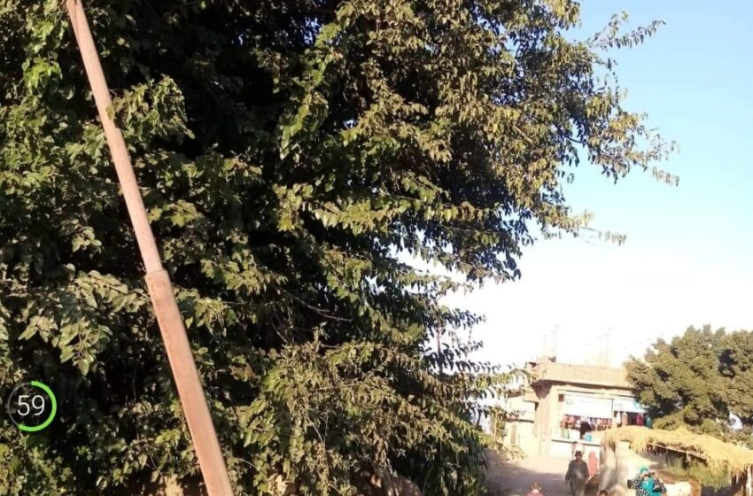 استغاثة من عمود آيل للسقوط بعزبة فهيم في أبوكبير