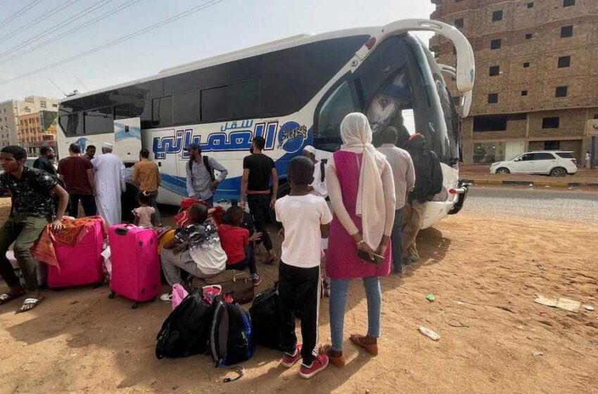  الهيئة العامة للموانئ المصرية: عدد النازحين السودانيين تجاوز الـ 10 آلاف