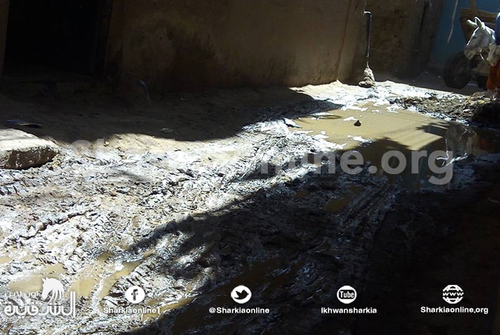  بلبيس.. ميت حمل تعاني من استمرار طفح المجاري