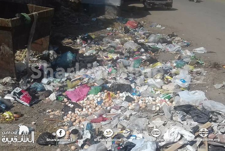  بالصور.. أهالي عزبة أبوخليل بفاقوس: “الزبالة ستقضي علينا”