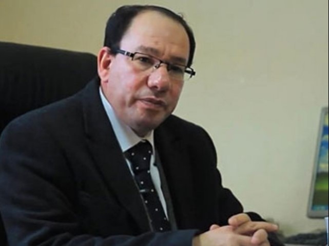  وائل قنديل يكتب: ثيران وحمدين على مذبح الانتخابات