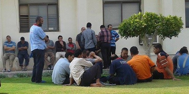  عمال شركة نوراميدس بالصالحية يشكون من تعسف المستثمر الأجنبي