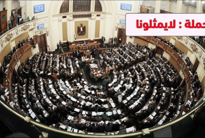  حملة “لا يمثلونا” بمنيا القمح تحرج “عبير تقبية” على الهواء مباشرة