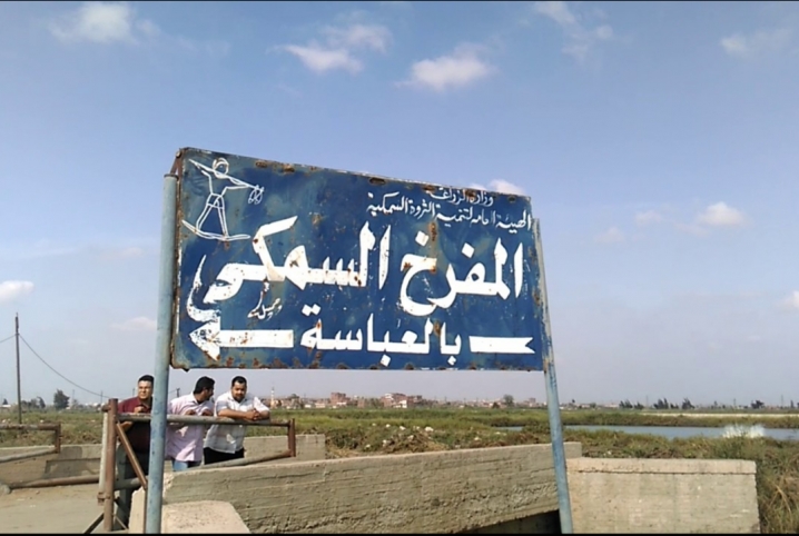  تكلفة مشروع سمكي في أبوحماد تجاوزت 40 مليون دولار ويربح 200 جنيه في العام!