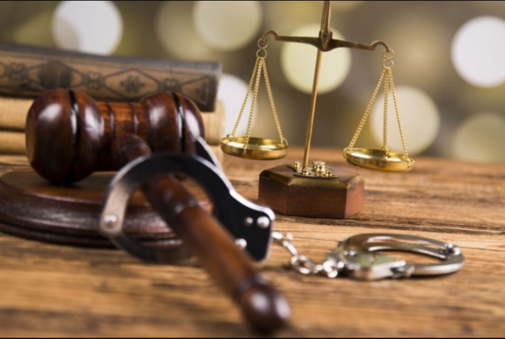  تأجيل محاكمة زوجة عضو ببرلمان الدم متهمة بالتعدي على 22 فدانًا من الآثار بأبو حماد