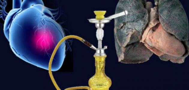  تسبب أمراض القلب والسرطان.. أضرار الشيشة على صحة الإنسان