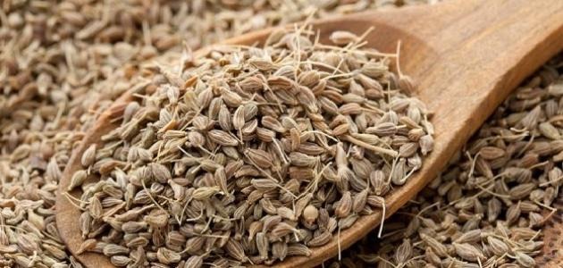  تعرف إلى فوائد اليانسون لتحسين وظائف الجهاز الهضمي