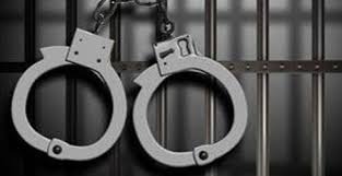  حملة اعتقالات تطال 5 من ثوار بلبيس