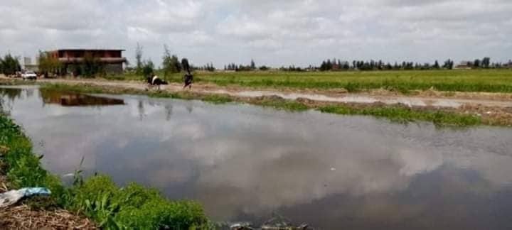  سكان صان الحجر يصرخون بعد غرق منازلهم وغياب المسئولين