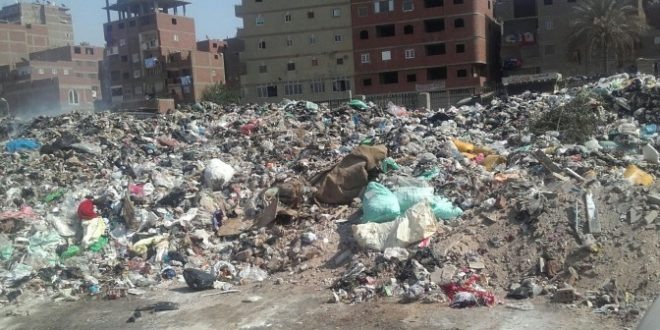  منشية ناصر بأبوحماد تشكو من تفاقم القمامة والحيوانات الضالة