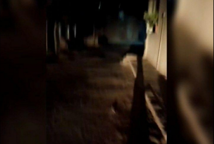  ظلام وسرقة في شارع المنيل ببلبيس