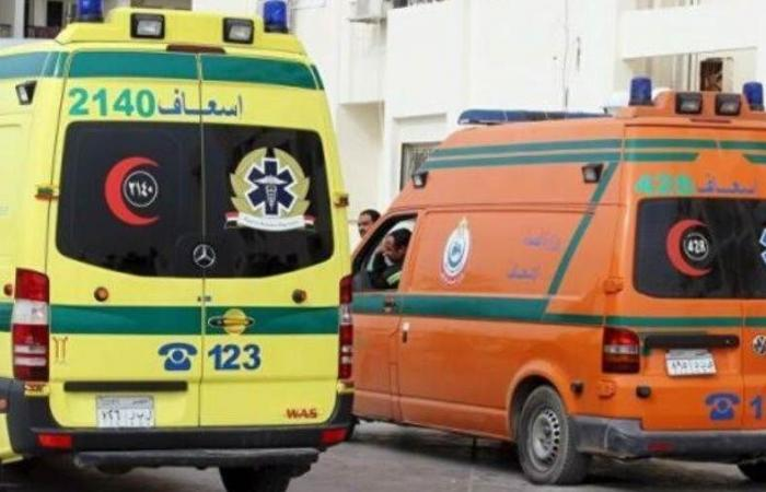 مصرع اثنين وإصابة آخر في حادث تصادم بمنيا القمح
