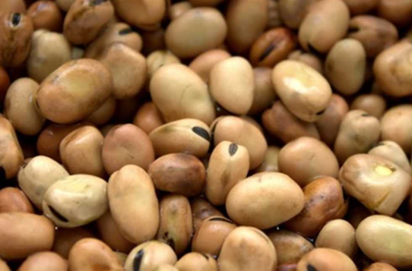  زيادة جديدة في سعر طن الفول البلدي بالأسواق