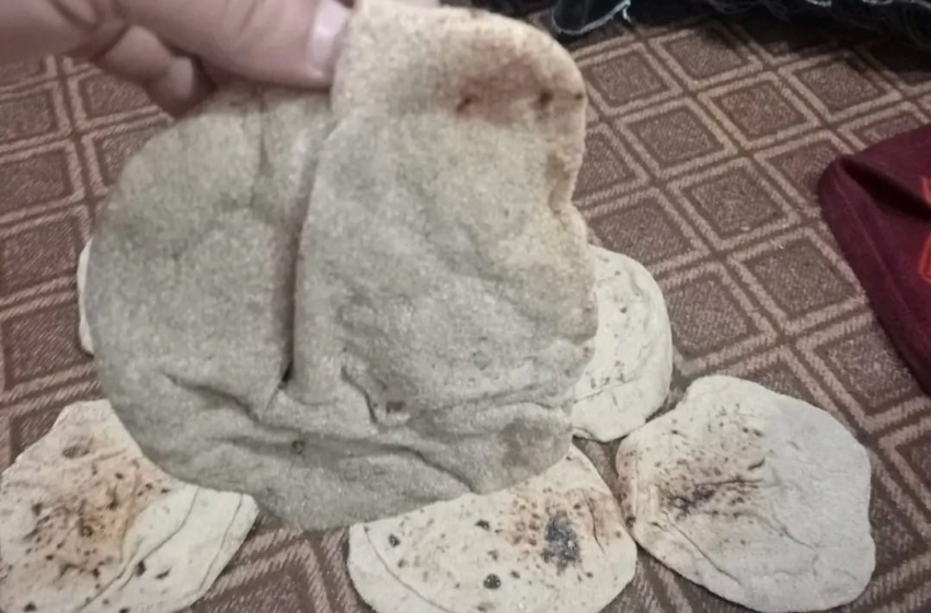 شكاوى لأهالي منيا القمح من نقص وزن رغيف الخبز