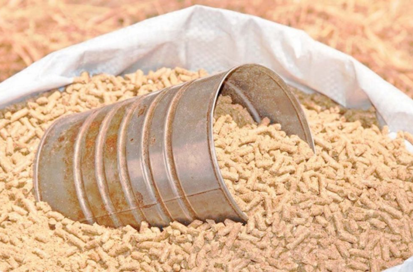 زيادة جديدة في أسعار حبوب الأعلاف