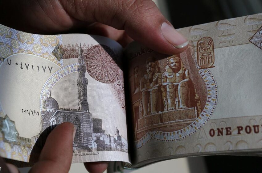 خبيرة اقتصادية: استمرار ضعف الجنيه المحرك الرئيسي للتضخم في مصر