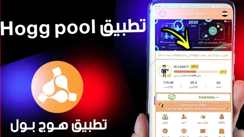  منصة “Hoogpool” تسرق 6 مليارات جنيه من مدخرات المصريين